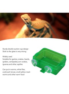 Zerodis Zerodis Green Suction Cup Reptile Feeder, Gecko Lizard Escape Proof Food Water Bowl (S)  - Image 3