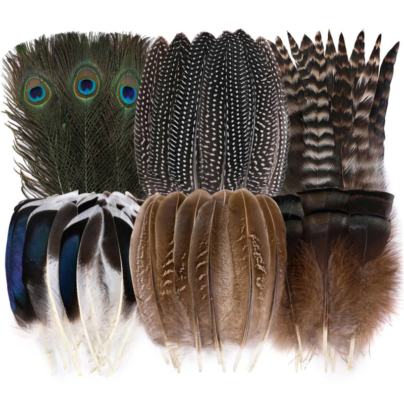Holmgren 24pcs Natural Feathers Bulk - 6 Styles Assorted Peacock, Pheasant, Turkey Feathers for Craft DIY Jewelry Hat Wedding Home Party Decoration - Image 1