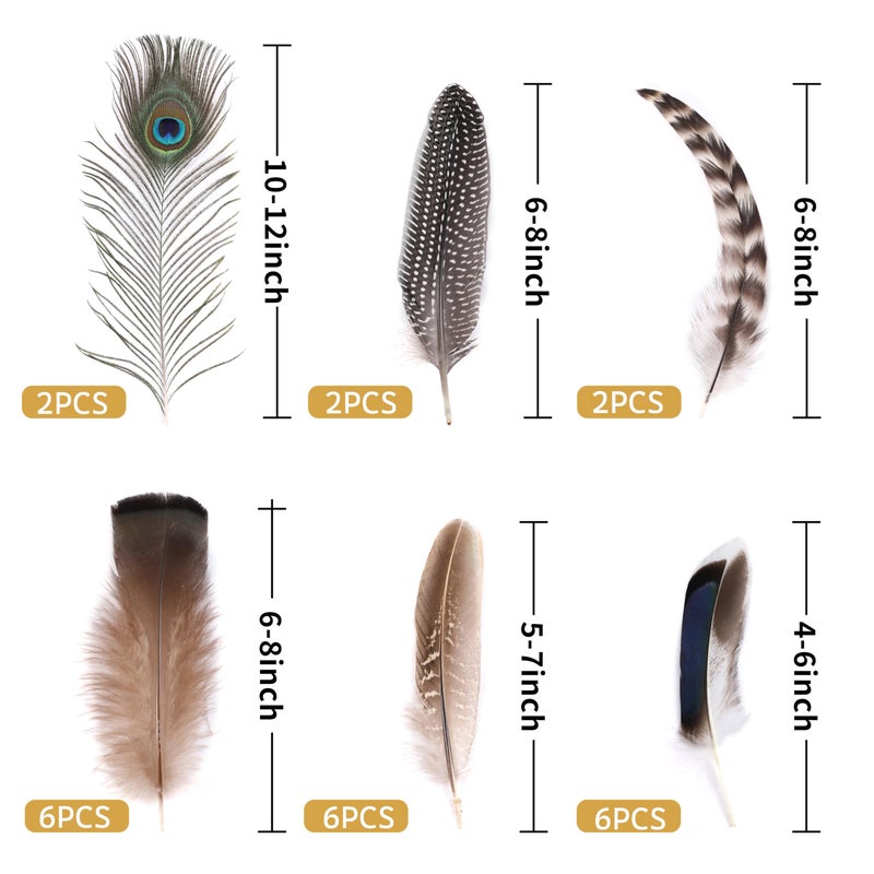 Holmgren 24pcs Natural Feathers Bulk - 6 Styles Assorted Peacock, Pheasant, Turkey Feathers for Craft DIY Jewelry Hat Wedding Home Party Decoration - Image 2