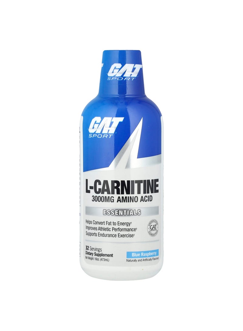 Sport, L-Carnitine, Blue Raspberry, 16 oz (473 ml)