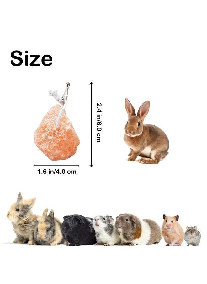 Kathson - kathson Small Animal Himalayan Salt Lick Block Rabbit Salt Blocks Natural Mineral Salts Chew Treat Supplies for Bunny Hamsters Chinchilla Squirrels Guinea Pig Ferret (6 PCS) - Image 1