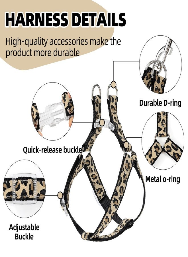مايل هاي لايف طقم طوق ومقود للكلاب من مايل هاي لايف بنقشة جلد النمر، طوق قابل للتعديل يمنع الشد، مناسب للكلاب الصغيرة، سهل التحكم أثناء التدريب والمشي (أسود، مقاس XS، محيط الصدر 9-15 بوصة، محيط الرقبة 8-12 بوصة). - Image 5