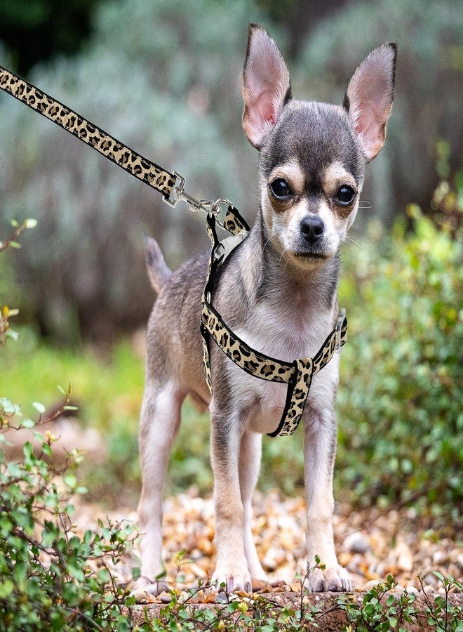 مايل هاي لايف طقم طوق ومقود للكلاب من مايل هاي لايف بنقشة جلد النمر، طوق قابل للتعديل يمنع الشد، مناسب للكلاب الصغيرة، سهل التحكم أثناء التدريب والمشي (أسود، مقاس XS، محيط الصدر 9-15 بوصة، محيط الرقبة 8-12 بوصة). - Image 2