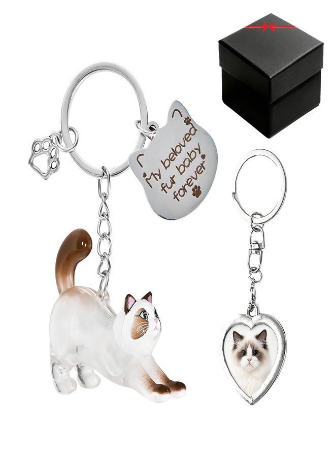 howaukf 1 Set Cat Hair Storage and Photo Frame Keychain, Pet Fur Keychain, Memory Locket, Pet Hair Memorial Keepsake, Cat Lover Collecting Gift (Long-Haired Style) - Image 1
