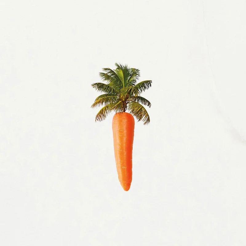 Bask in the Sun Palm Carrot T-Shirt 100% Organic Cotton