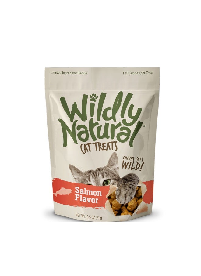 Fruitables - Fruitables Wildly Natural Salmon Cat Treats - 71g - Image 1