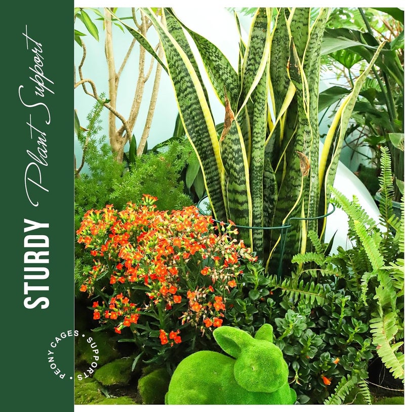 Lavish Craft Plant Support Stakes, 3 PCS Peony Cages and Supports, Plant Support, Plant Stakes for Indoor Plants, Outdoor Plants, Garden Stakes, Peony Tomato Plant Cages & Supports (3 Pcs) - Image 5