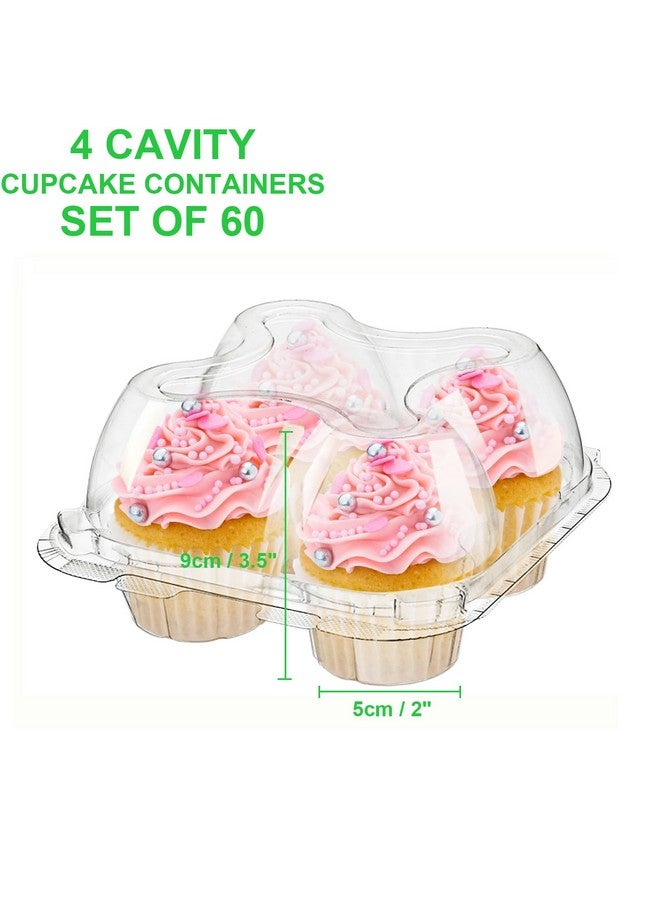 Bekith 60 Count 4-Compartment Plastic Cupcake Containers - Disposable Cupcake Trays Holder Carrier Box with Lids for Cupcakes & Muffins - Hinged Lock Cupcake Clamshell - Deep Cups for Cupcake Storage - Image 2
