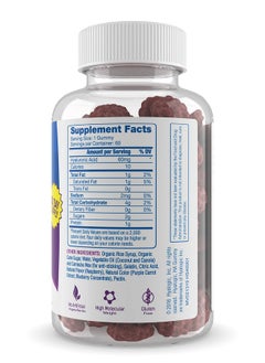 Hyalogic Chewy HA Gummies Mixed Berry Flavor Hyaluronic Acid Gummies - Gluten-Free Gummy Vitamins for Adults - HA Supplement for Joints, Skin & Eyes -60 Count (120 mg) - pzsku/ZEF8D07B0E58C40099A23Z/45/_/1735907999/9b3909d9-171a-4950-b67a-6dfa994c7423