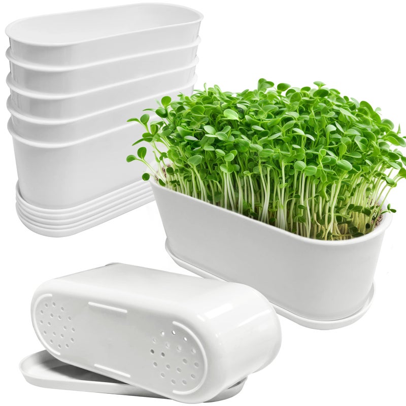 Torfican 5 Set Window Herb Planter Box Rectangular,8.5x3.5 Inch White Plastic Planters with Multiple Drainage Holes and Trays,Indoor Succulent Cactus Mint Flower Pot for Windowsill,Garden Balcony - Image 1