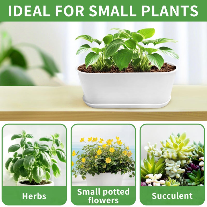 Torfican 5 Set Window Herb Planter Box Rectangular,8.5x3.5 Inch White Plastic Planters with Multiple Drainage Holes and Trays,Indoor Succulent Cactus Mint Flower Pot for Windowsill,Garden Balcony - Image 4