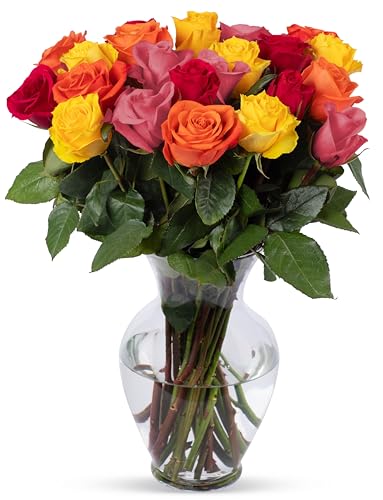 Benchmark Bouquets - 24 Stem Premium Rainbow Roses (Glass Vase Included) - Fresh Flowers for Delivery - Gift for Graduation, Birthday, Anniversary, Sympathy, Get Well, Congratulations - Image 1