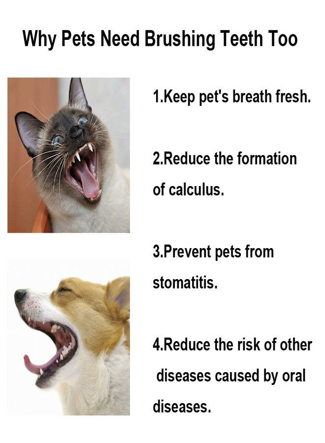 KnocKconK Cat Toothbrush, Soft Small Dog Dental Toothbrush Silicone, Easy Teeth Cleaning Head, Pet Deep Clean Dense Brush, Safe and Effective Oral Care, Brush Away Bad Breath, Easy to Handle, Blue - Image 5