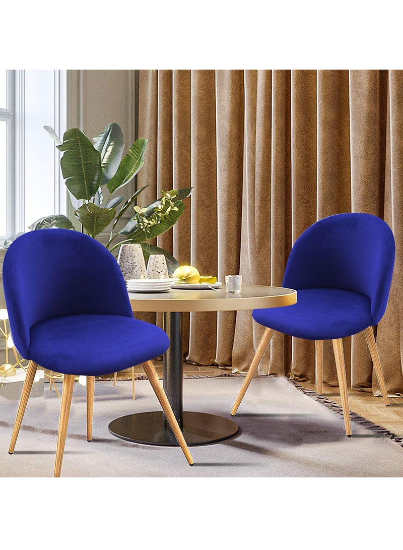 Mahmayi Mahmayi HYDC019 Velvet Blue Dining Chair for Living Room (Pack of 2)  - Image 2