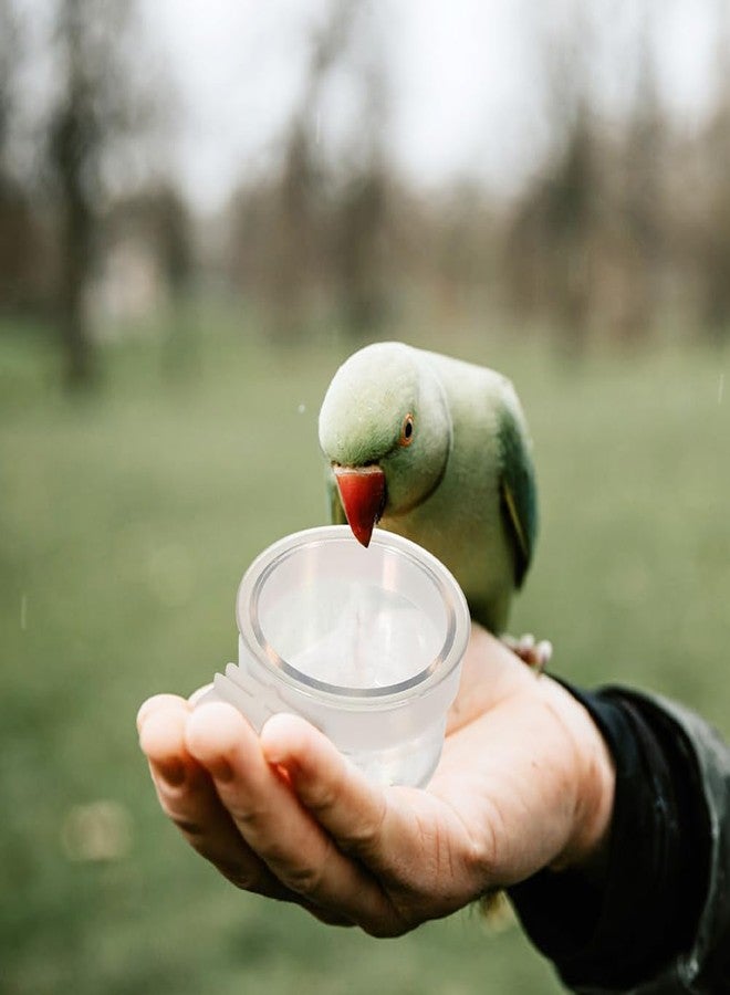 Balacoo Detachable Bird Feeder Cups 10PCS: Acrylic Parrot Food and Water Bowl Bird Feeding Dish Cage Feeder Dispenser Convenient Hanging Container for Parrot Cockatiel Finch - Image 5