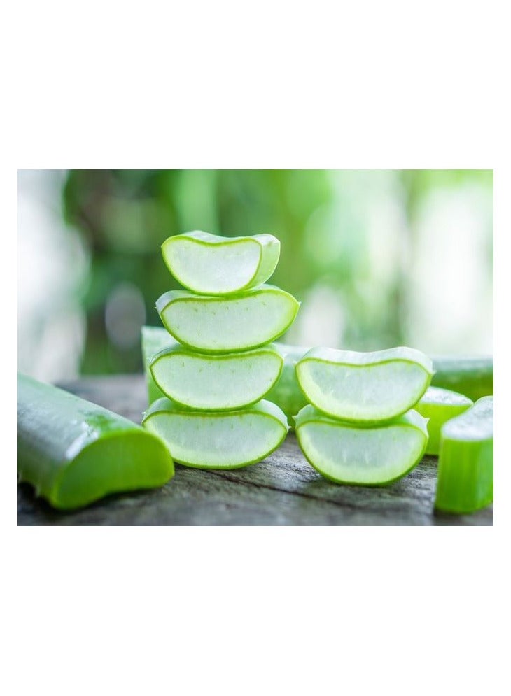 فيتال كير جل الصبار المرطب للبشرة 300 جم - Image 4