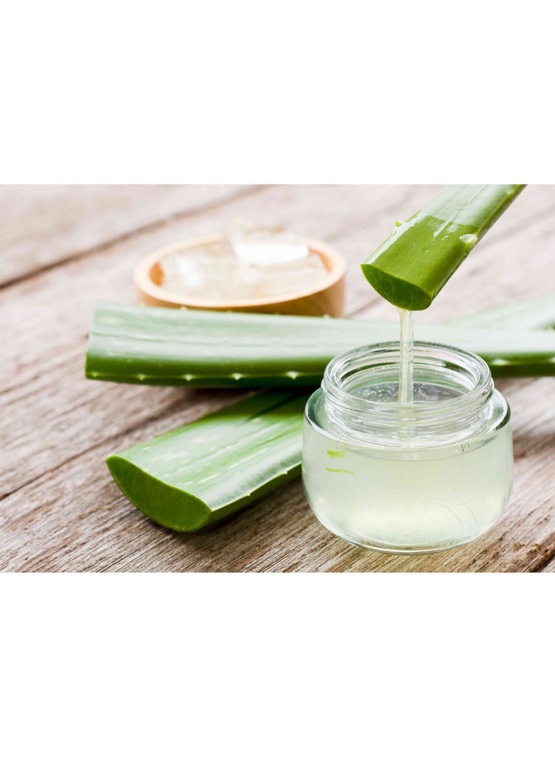 فيتال كير جل الصبار المرطب للبشرة 300 جم - Image 5