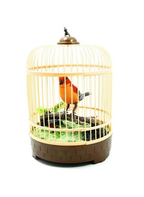 Bird Sanctuary Caged Singing Bird - pzsku/ZEF923E961767B84FA6B5Z/45/_/1728051507/31c56a48-2a5a-4394-9444-c25c900b0371