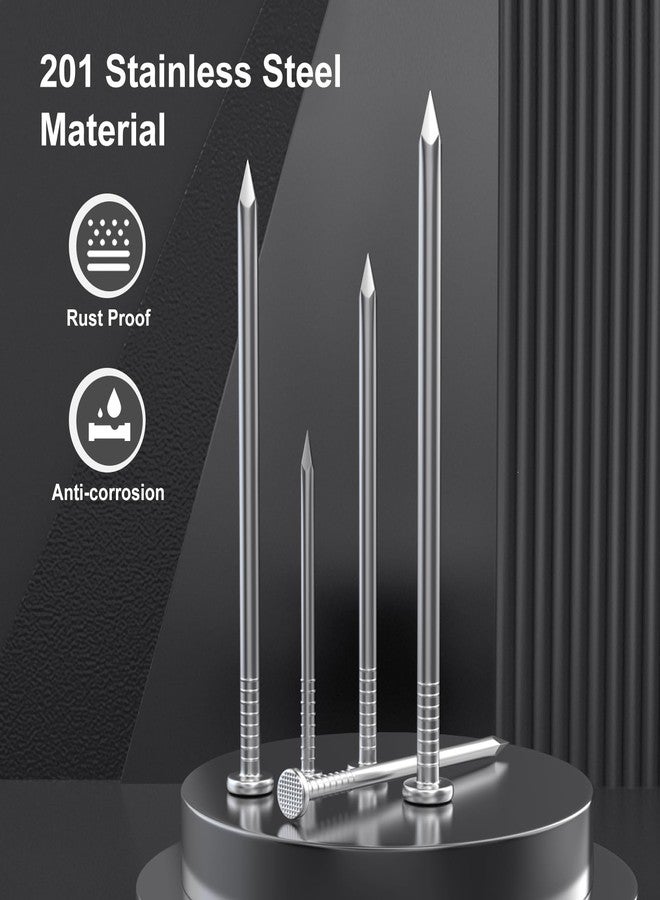 VGBUY 800PCS Stainless Steel Hardware Nails - 1 Inch Flat Head Nails for Hanging Pictures, Wall & Wood Finishing - Image 3