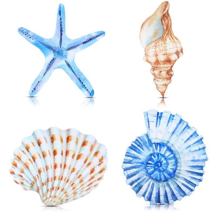 4 PCS BEACH WALL DECOR SEASHELL STARFISH BATHROOM DECOR RUSTIC OCEAN COASTAL SUMMER THEMED WALL ART GIFTS FOR LIVING ROOM BATHROOM BEDROOMLARGE