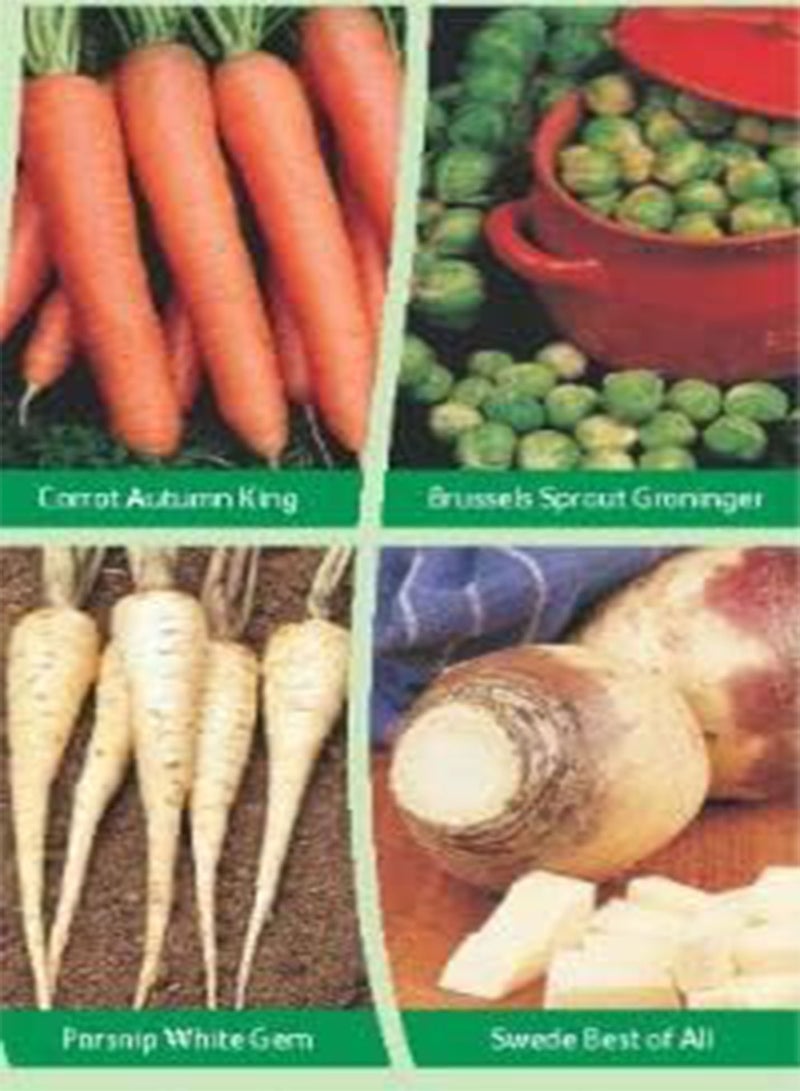 جي جوت 390 بذرة من خضراوات الشتاء 4 في 1، ببساطة قم بزراعة بذور الأعشاب والفواكه والخضروات الطازجة في الداخل والخارج