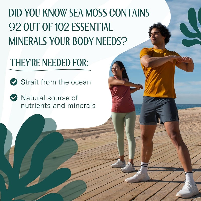 trueseamoss True Sea Moss Raw - 100% Wildcrafted Irish Sea Moss for Digestion and Gut Health - 16oz (453g) Superfood - Image 5