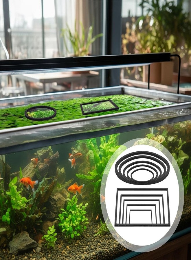 Hariendny 10 Pack Fish Feeding Ring Aquarium Floating Plant Barrier Round and Square Floating Aquarium Plant Corral Foam Fish Feeder Rings Fish-Tank Accessories for Betta Goldfish Floating-Plants - Image 2