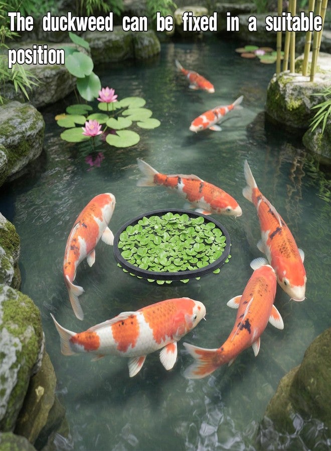 Hariendny 10 Pack Fish Feeding Ring Aquarium Floating Plant Barrier Round and Square Floating Aquarium Plant Corral Foam Fish Feeder Rings Fish-Tank Accessories for Betta Goldfish Floating-Plants - Image 3