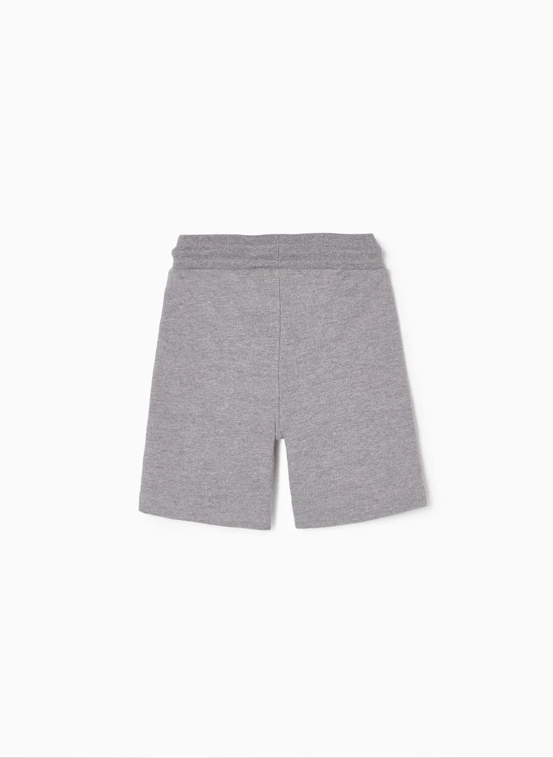 Zippy Zippy Shorts For Boys