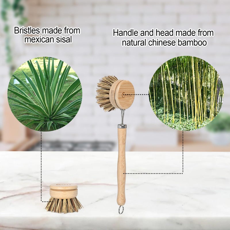 ANTYA Bamboo Dish Scrubber with Handle - Hard Bristle, Natural Kitchen Brush, Sustainable & Biodegradable, Bamboo Brush for Dishes, Pans and Pots - Image 3