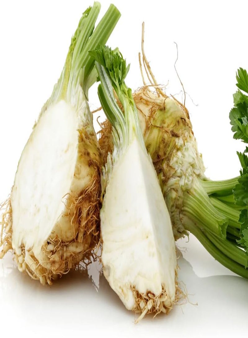 GGOOT 10 Giant Celeriac Seeds UK Heirloom Prague Celery Root Hardy Garden Vegetable - Image 2