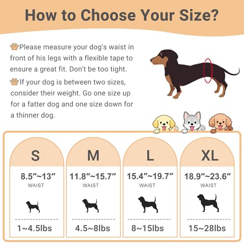 Mkono Male Dog Belly Band Wraps Washable Dog Diapers Male for Small and Medium Dogs (3 Pack), Waist 11.8 Inches to 15.7 Inches - Image 3
