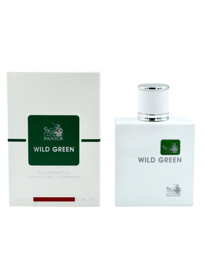 بينيا بانير وايلد جرين أو دو بارفان هيم 100 مل – عطر للرجال - Image 2