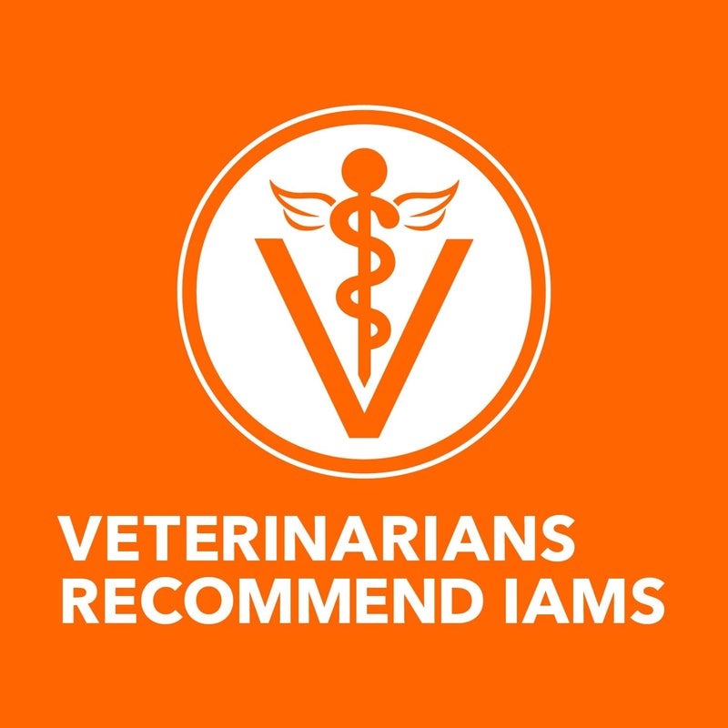 IAMS Proactive Health Adult Urinary Tract Health Dry Cat Food with Chicken, 7 lb. Bag - Image 4