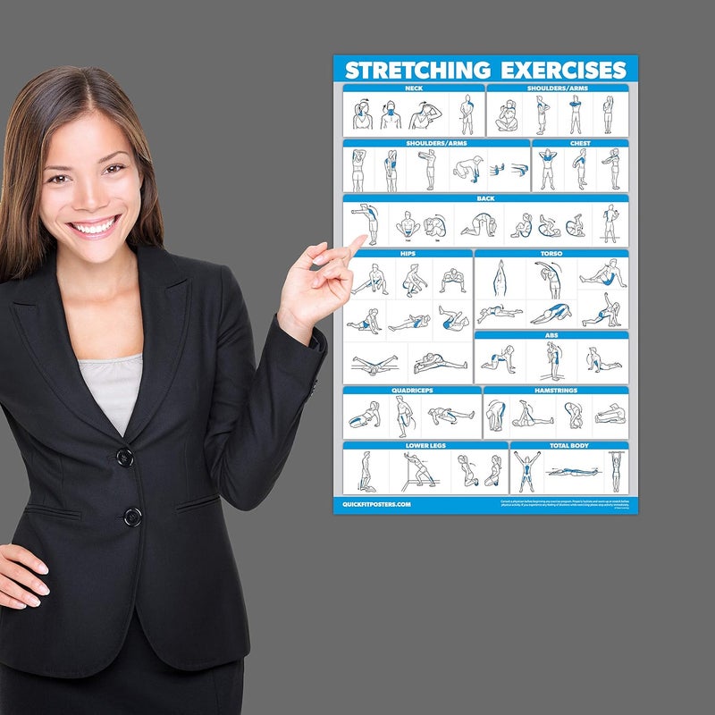 Palace Learning Stretching Exercises and Muscular System Anatomy Poster Set - Laminated 2 Chart Set - Stretching Workout Routine & Muscle Anatomy Diagram (18" x 24") - Image 5