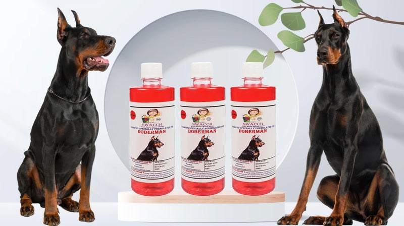 Swacch Shampoo Specially Formulated for Doberman (500ml) (Pack of 3) Jasmine - Image 2