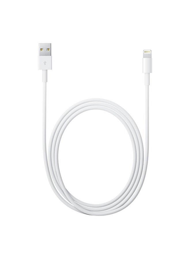 Apple Lightning To USB Cable - 2 Meter White - Image 5