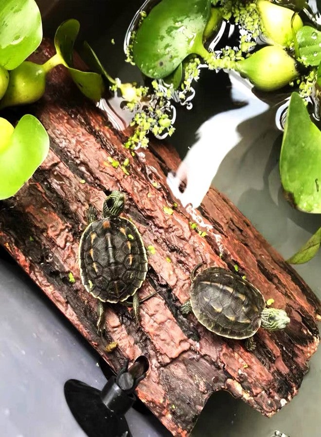 Flushbay Turtle Floating Basking Platform Aquarium Turtle Decorations Artificial Bark Tortoise Climbing Platform with Suction Cups Resting Terrace for Terrapins (Turtle Floating Basking Platform) - Image 3