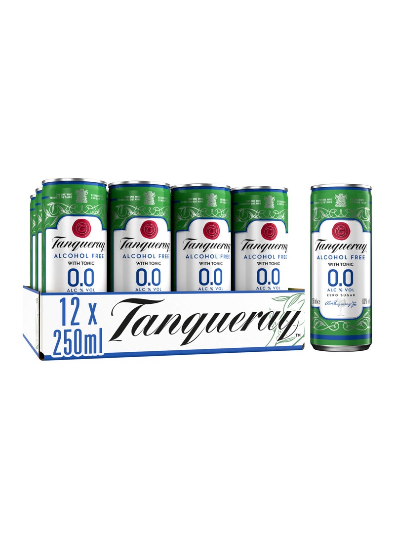 Tanqueray Non-Alcoholic Drinks And Tonic - Image 1