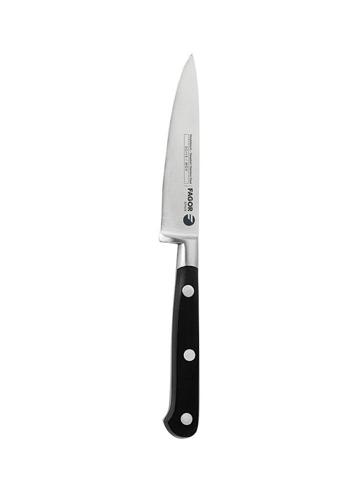 fagor COUPER PARING KNIFE 10CM  - Image 1