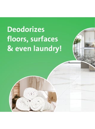 Multi-Purpose Household Deodorizer Spring Flowers Green 700 ml - view 2