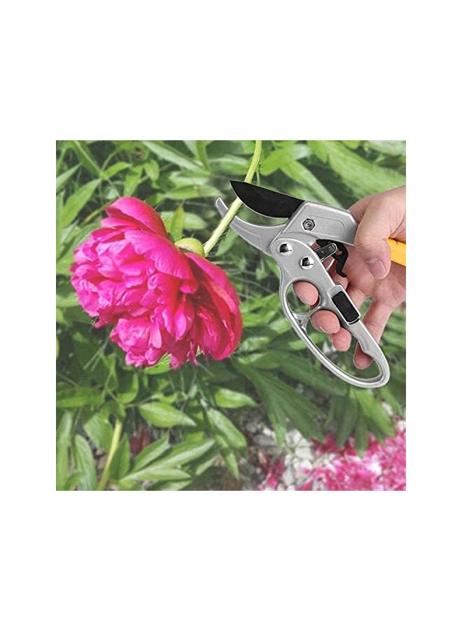 promass Garden Pruning Shears - Heavy Duty Pruning Shears and Garden Shears - Handheld Garden Pruners, Plant Clippers, Flower Cutter, Pruners for Tree Trimming, Ideal for Gardening and Plant Scissors - Image 5