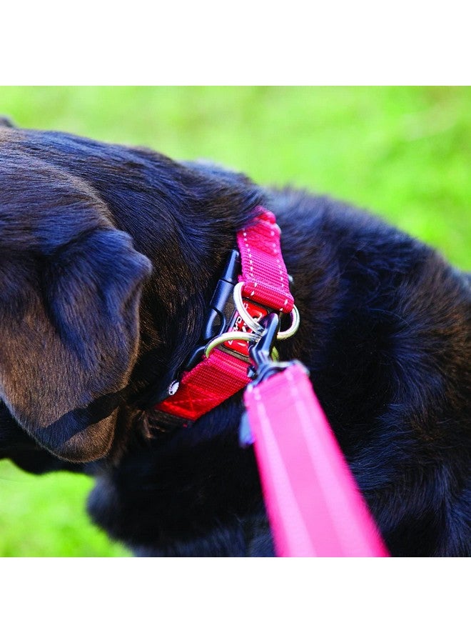 EzyDog Double Up Premium Nylon Dog Collar with Reflective Stitching - Double D-Rings for Superior Strength, Safety, and Comfortability - Non-Rusting and Includes an ID Attachment (Large, Red) - Image 4