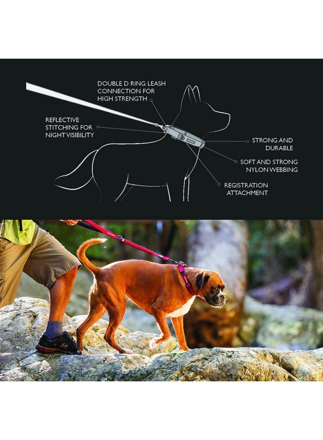 EzyDog Double Up Premium Nylon Dog Collar with Reflective Stitching - Double D-Rings for Superior Strength, Safety, and Comfortability - Non-Rusting and Includes an ID Attachment (Large, Red) - Image 3