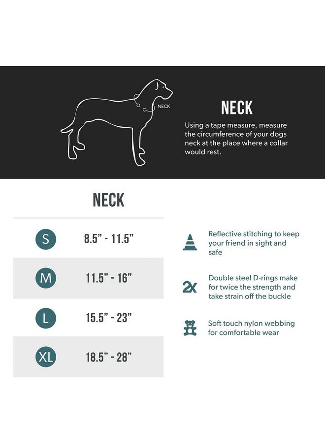 EzyDog Double Up Premium Nylon Dog Collar with Reflective Stitching - Double D-Rings for Superior Strength, Safety, and Comfortability - Non-Rusting and Includes an ID Attachment (Large, Red) - Image 5