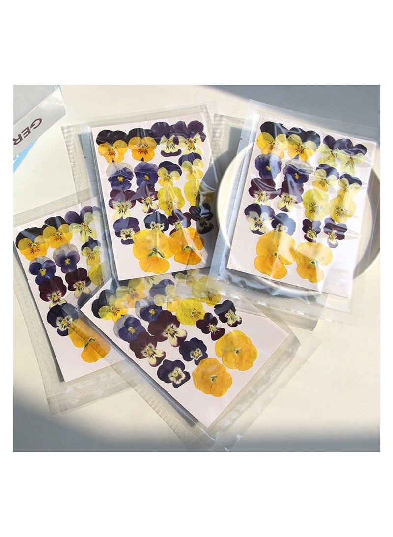 كيلا 54 قطعة من الزهور المجففة المضغوطة للراتنج، الحرف اليدوية اعمال يدويه، الزهور الطبيعية المجففة، مجوهرات الإيبوكسي، ديكورات الزهور الحقيقية، الكعك، حافظات الهواتف، الشموع، الصابون المصنوع يدويًا، زهرة البانسيه الأرجوانية - Image 1