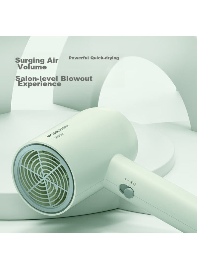 FLYCO Feike Borui Hair Dryer, Portable For Home And Dorm Use, 1800w High Power, Hot And Cold Air, Three-speed Blower, Light Green Ph1622 - Image 1