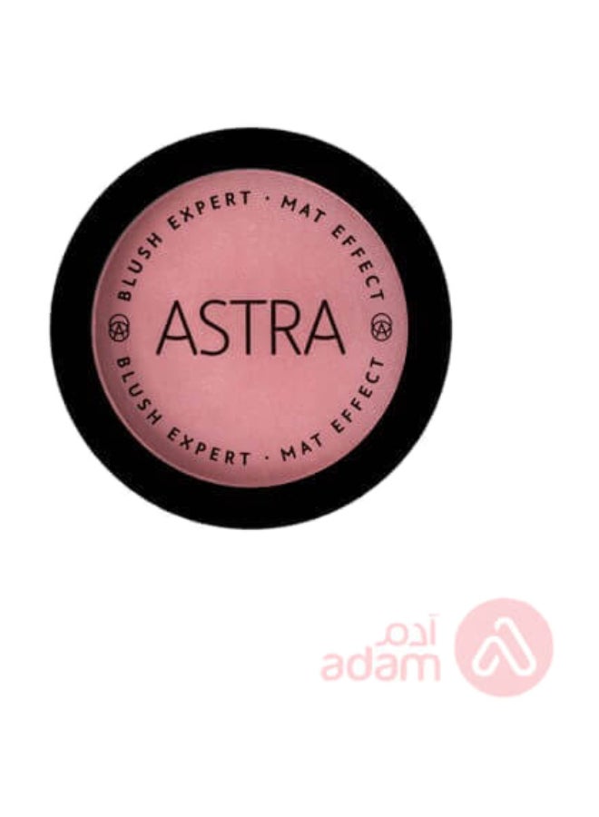 Blush Expert Mat Effect | 04