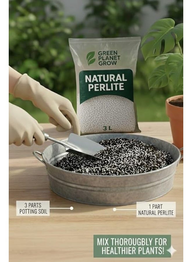Premium Natural Perlite 100% / 3ltr Ideal For Farming, Soil Mix. Best option for outdoor and indoor farming/Made in UAE - Image 1