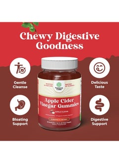 Natures Craft ACV Apple Cider Vinegar Gummies - Superfood Infused ACV Gummies Vitamins for Adults for Detox Cleanse Immune Support Digestion and Glowing Skin - Delicious Daily Energy Gummies with Vitamin B Complex  - Image 3